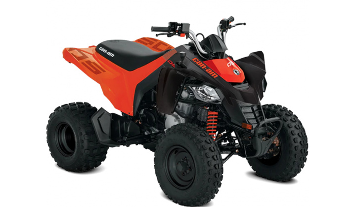 CAN-AM 250 DS 2024