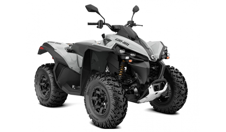 CAN-AM RENEGADE STD 650T ABS 2024